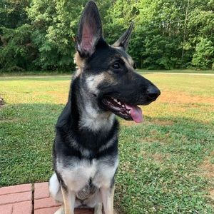 Meet your Posher, Mason